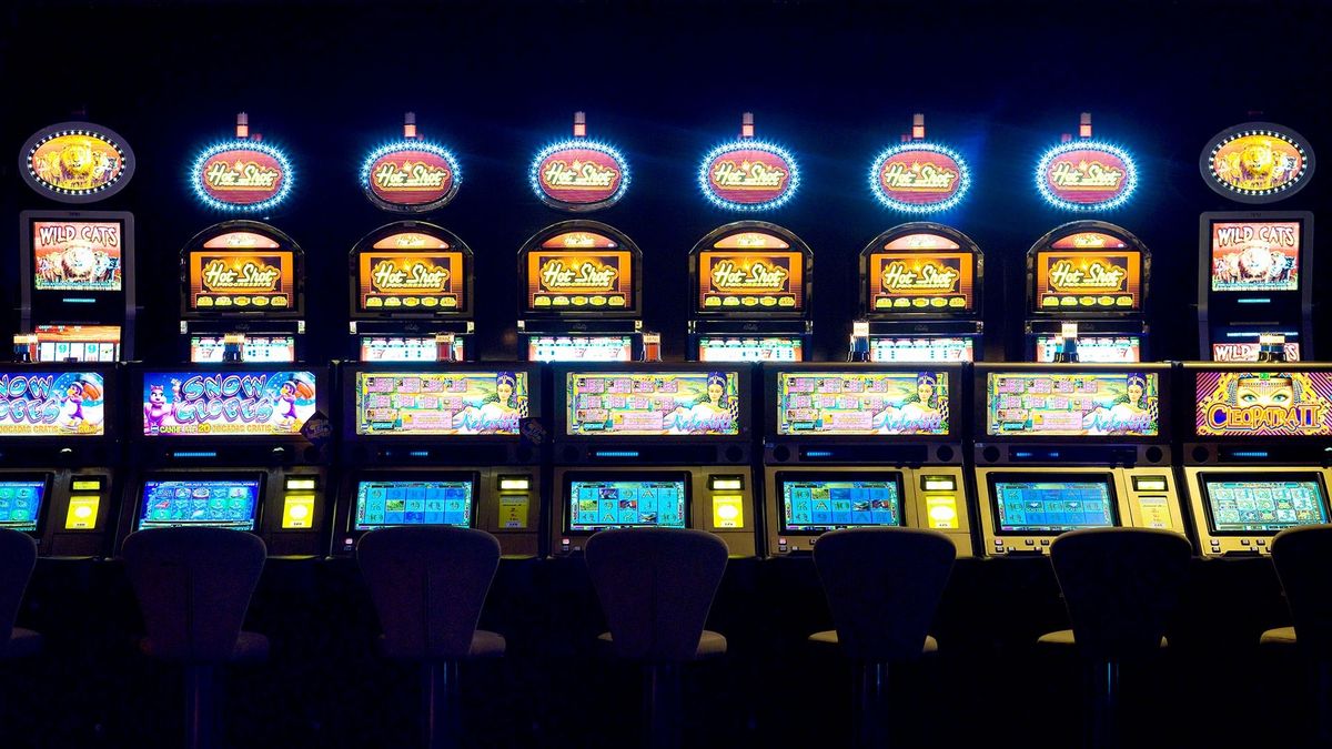 Bingo Patti آن لائن کیسینو میں اصل گیمز